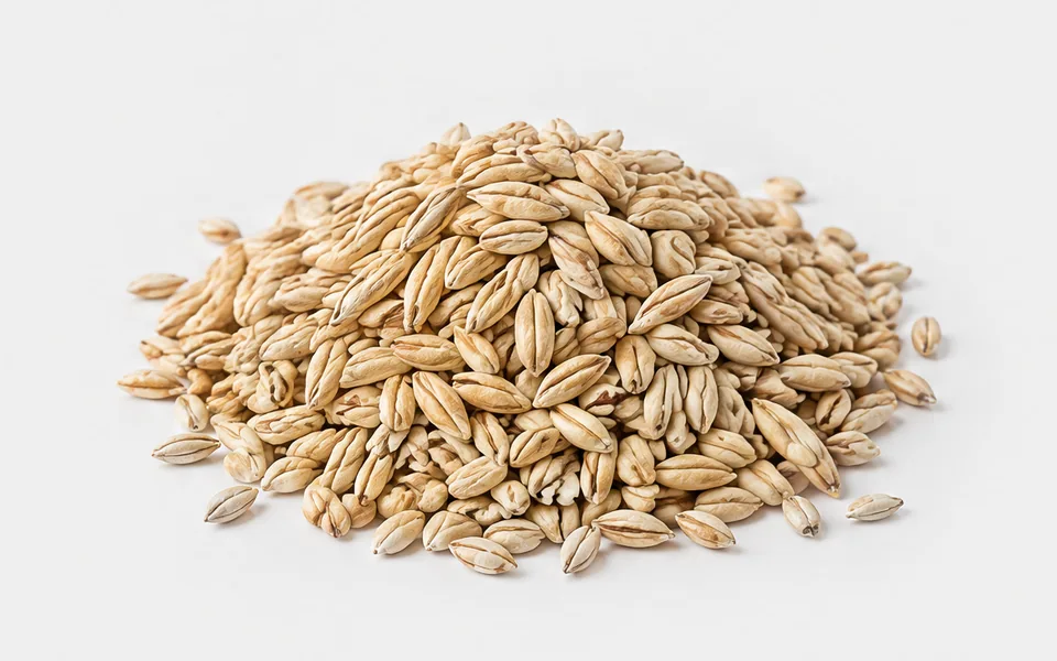 Barley Grain, illustrative unbranded product